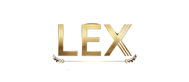 Lex {0DFC6D8F 025B 468A BE6B C6360BD5139E} 1